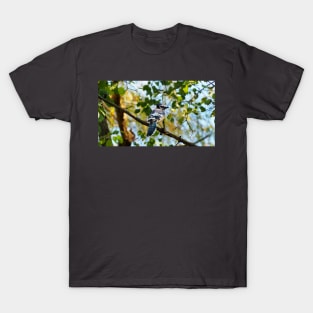 Blue Jay Perched In A Tree Staring T-Shirt